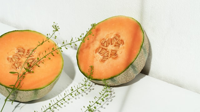 winter melon 
