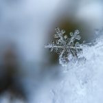 Snow: Nature's Winter Wonder