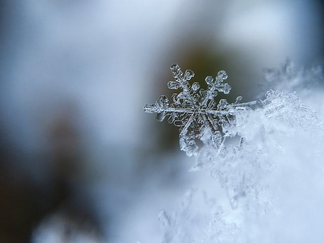 Snow Nature's Winter Wonder