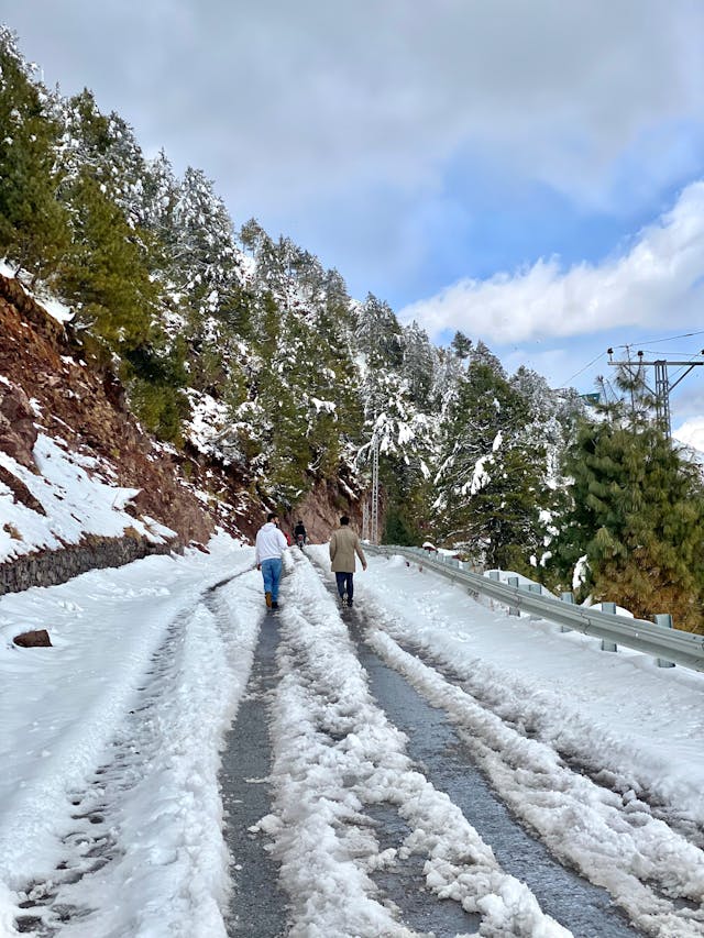 Winter Storm January 19 2025: What Happened, Who Was Affected & What We Learned